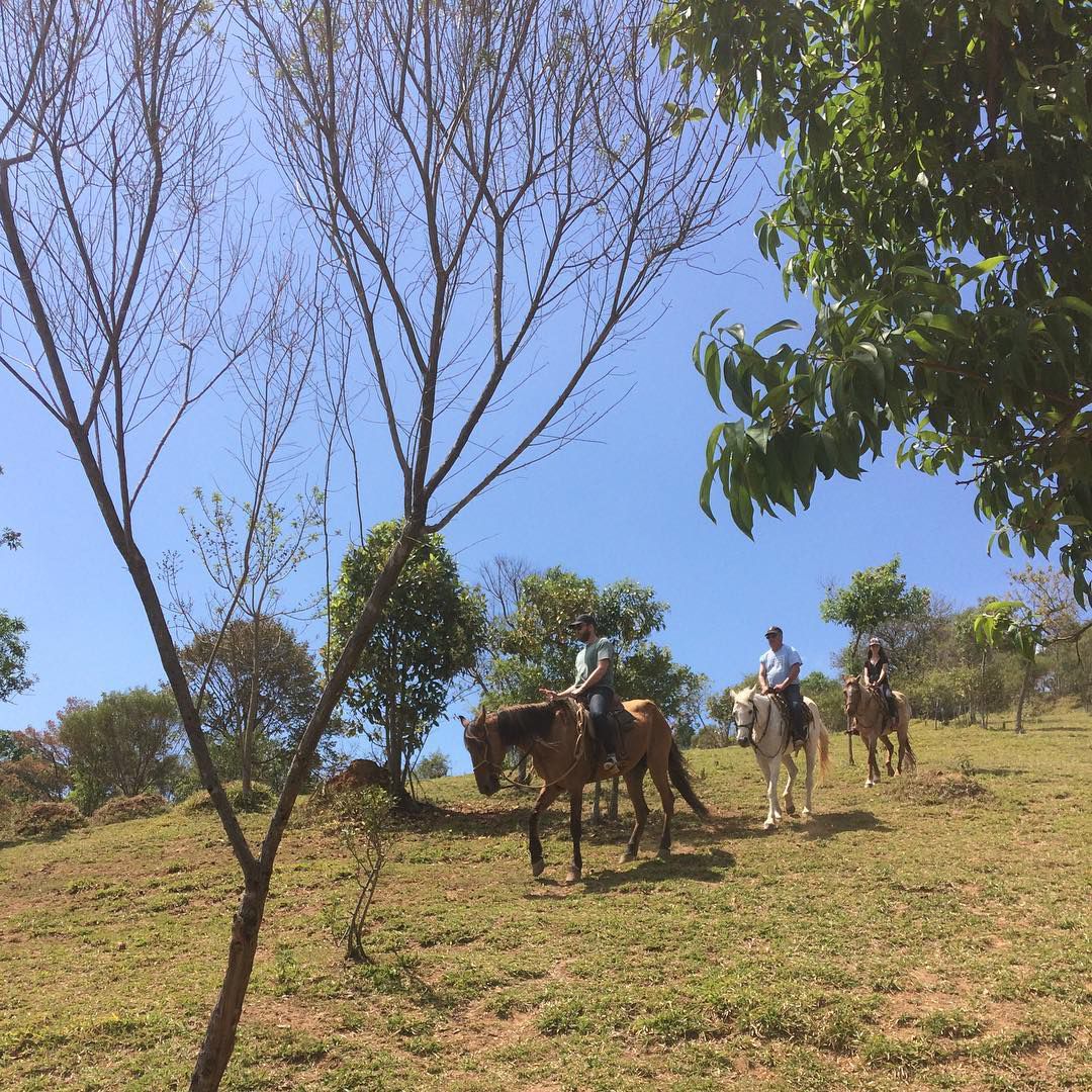 CAVALGADA